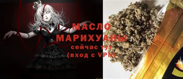 дмт Бородино