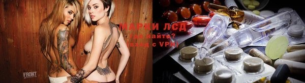 дмт Бородино