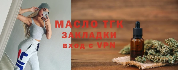 дмт Бородино