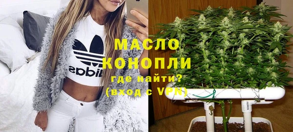 дмт Бородино