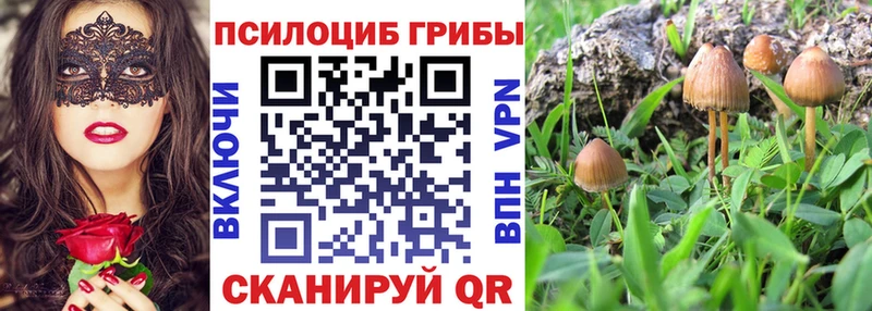 Галлюциногенные грибы Psilocybine cubensis  даркнет сайт  Тихорецк 