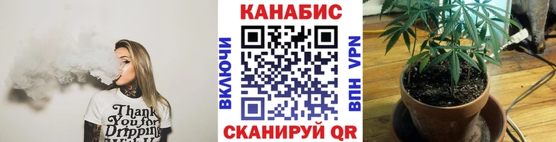 Шишки марихуана сатива мега как зайти Тихорецк купить цена